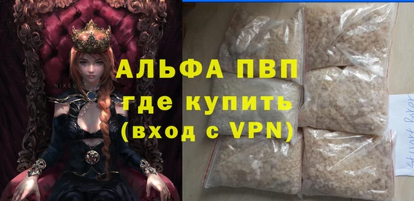 стафф Михайловск