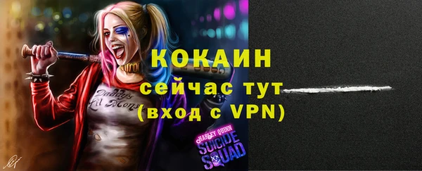 стафф Михайловск