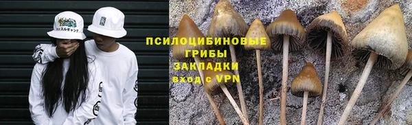 стафф Михайловск