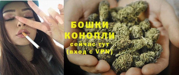 стафф Михайловск