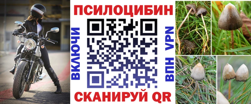 Галлюциногенные грибы мицелий  Купить где  Лобня 