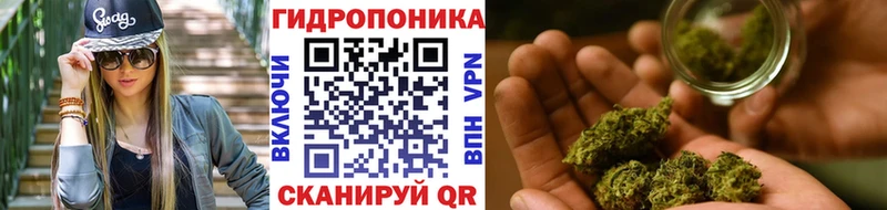Купить закладки Лобня Конопля OG Kush